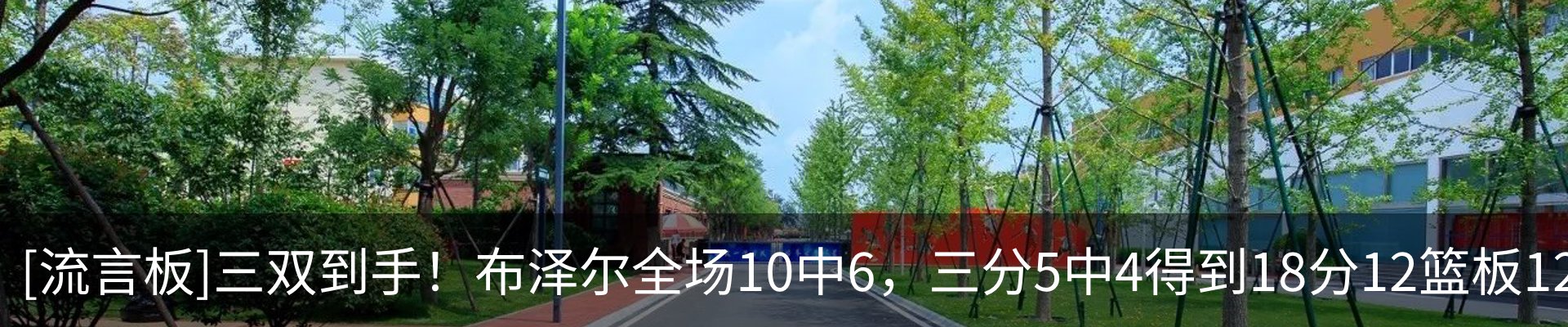 新闻动态